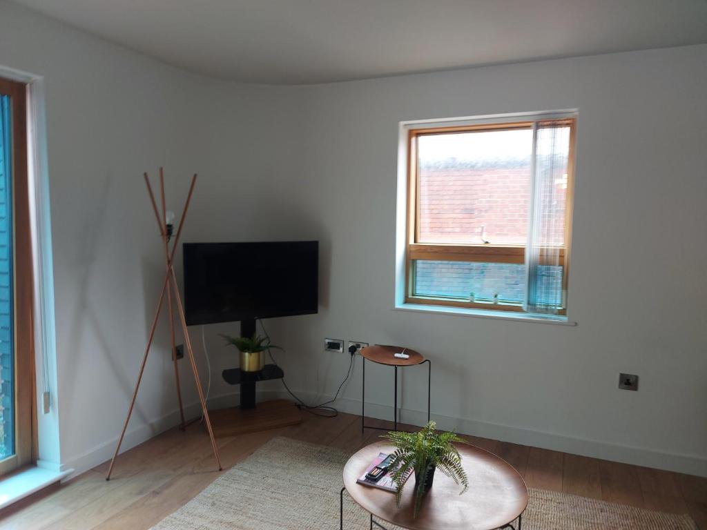 TV a/nebo společenská místnost v ubytování Spacious 2-bedroom apartment near Ponds Forge, Crucible Theatre and Sheffield Universities