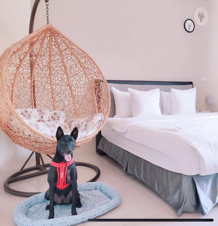 Letto o letti in una camera di Happy Fat B&B 寵物友善