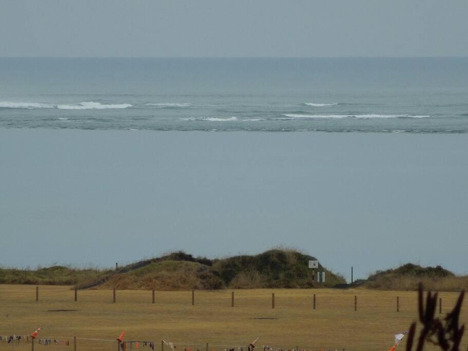 Raglan, walk to harbour and town, garden views - Resim 15