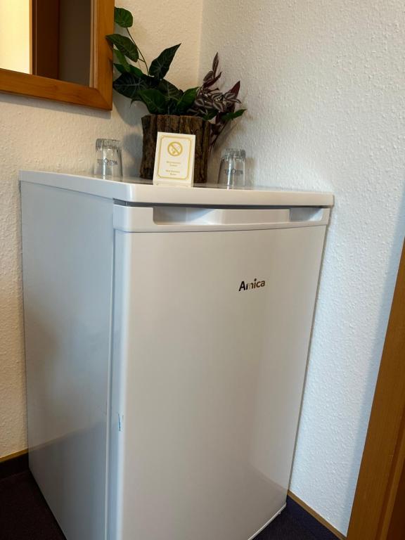 Kuchyň nebo kuchyňský kout v ubytování Pension und Monteurzimmer mit Küche und Waschmaschine