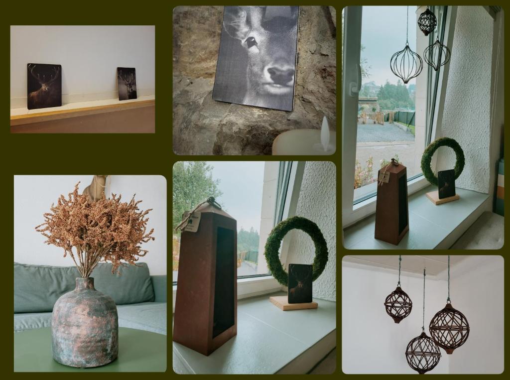 Fotografie z fotogalerie ubytování Le Grand Cerf gîte citadin v destinaci Saint-Hubert