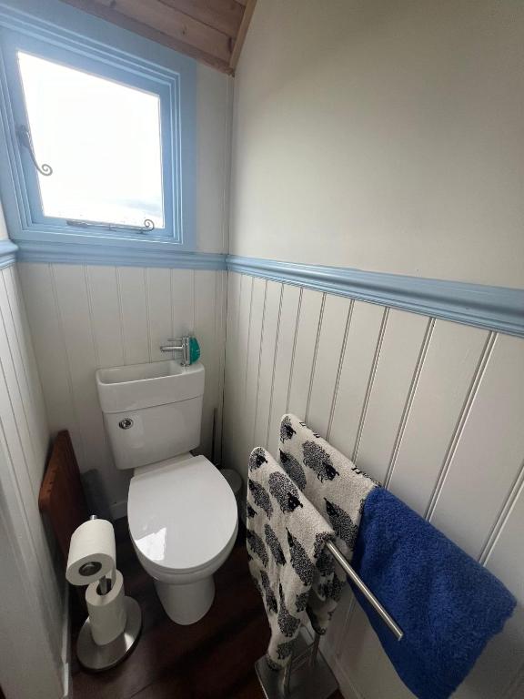 Koupelna v ubytování Wee Shepherds Hut Maybole