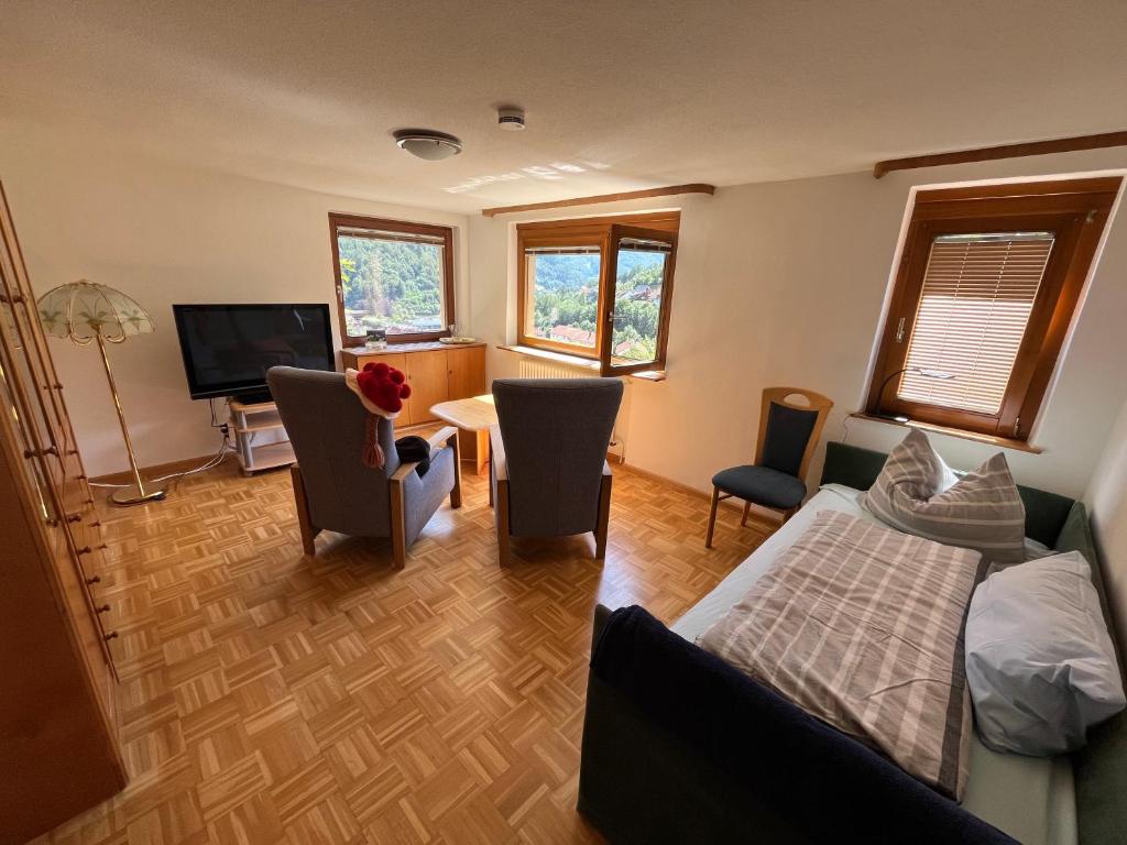 TV a/nebo společenská místnost v ubytování Steiert Panorama Apartments Todtnau