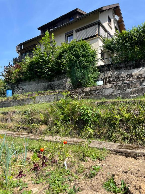 Zahrada ubytování Steiert Panorama Apartments Todtnau