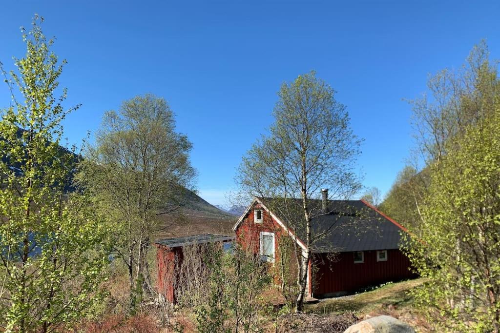 an old red barn on a hill with trees at Peaceful cabin retreat in the Norwegian mountains in Ulsteinvik