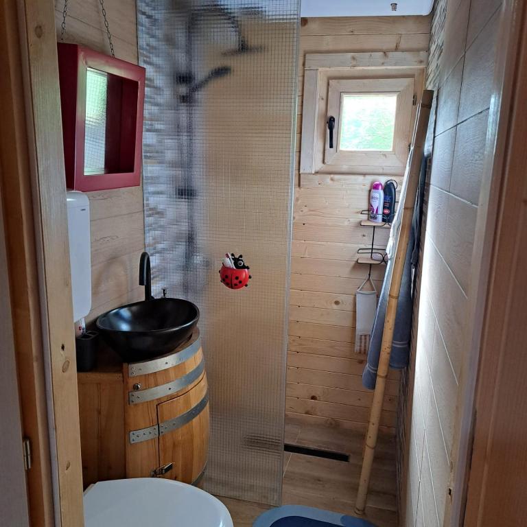 Koupelna v ubytování Vile Bliznakinje