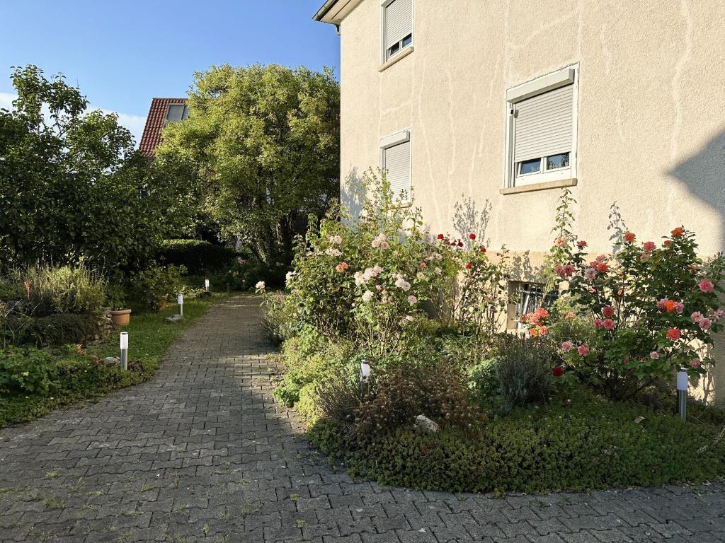 Κήπος έξω από το Villa Pauline