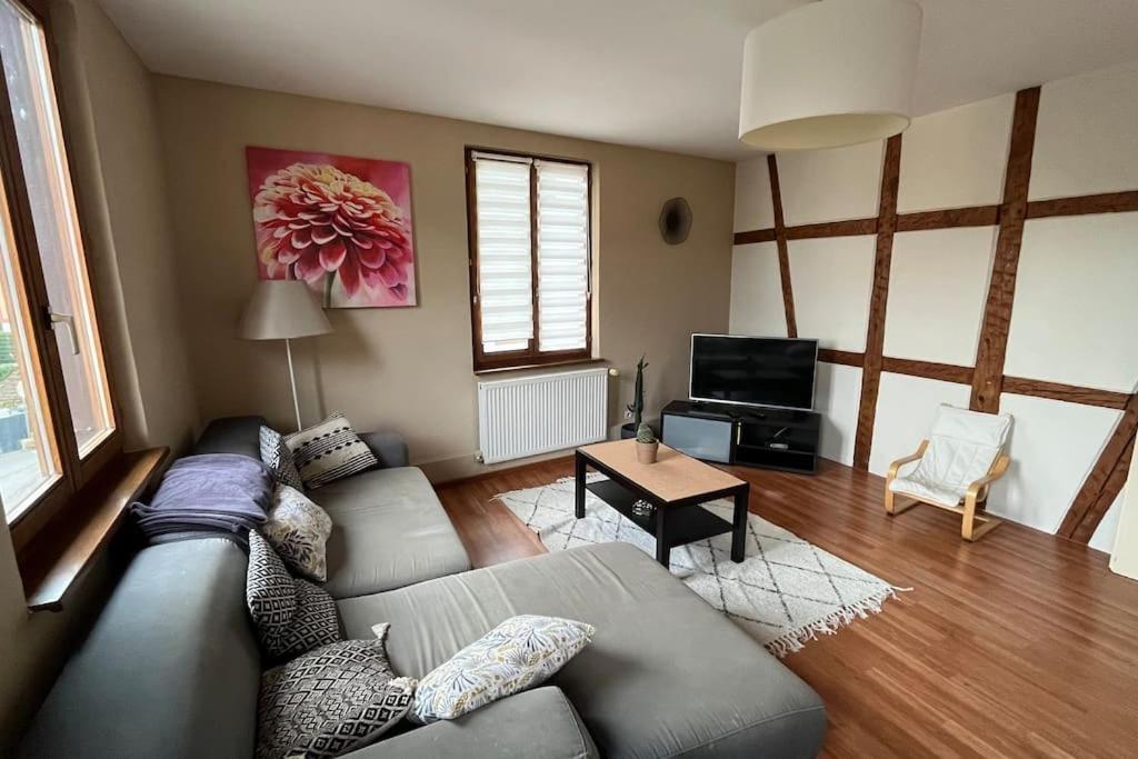 TV a/nebo společenská místnost v ubytování Grand appartement à Barr