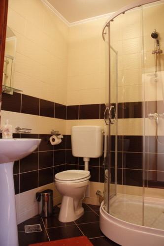 Koupelna v ubytování Pension Casa Ali & Andu