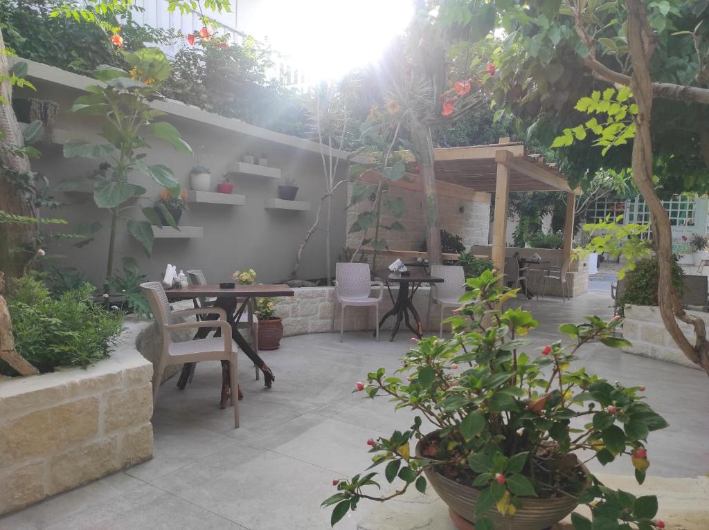Ein Garten an der Unterkunft Nikos Hotel