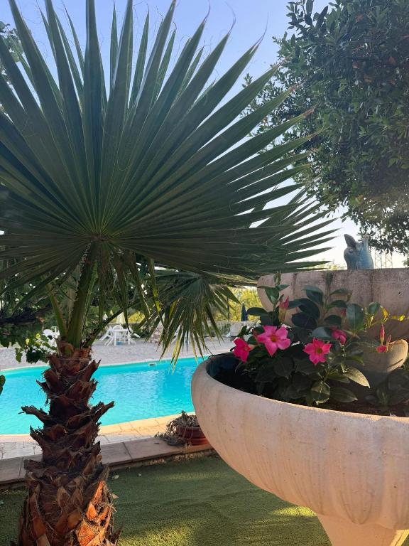 The swimming pool at or close to Agriturismo Vemi