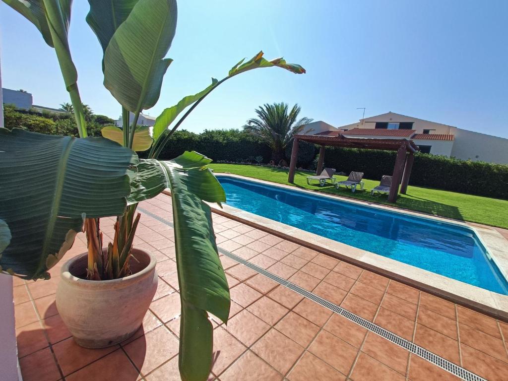 Bazén v ubytovaní VILLA VEGA RELAX EN EL PARAISO alebo v jeho blízkosti