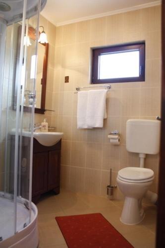 Koupelna v ubytování Pension Casa Ali & Andu