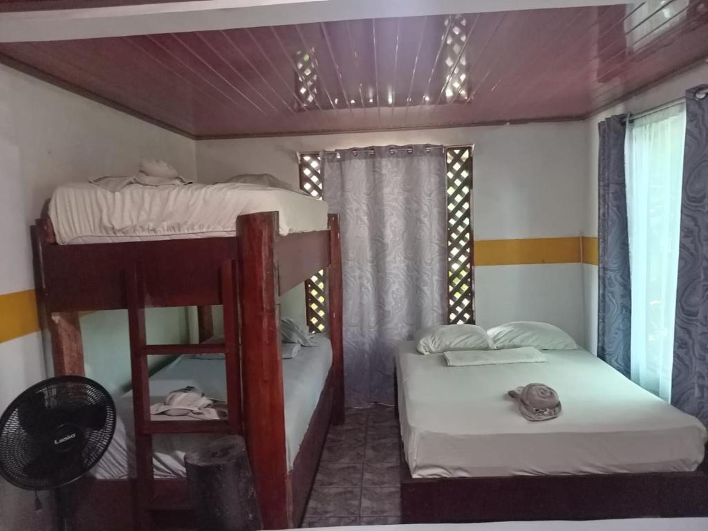 Postel nebo postele na pokoji v ubytování Gecko de Tortuguero