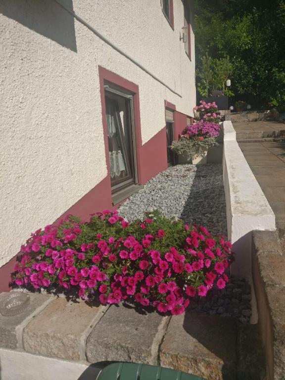 Zahrada ubytování Apartments in Behringersmühle