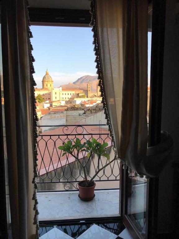 Nespecifikovaný výhled na hory nebo výhled na hory při pohledu z hotelu