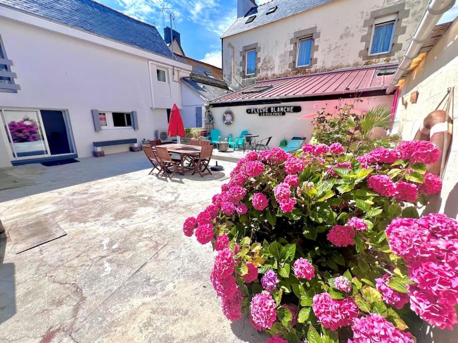 un jardin avec des fleurs roses devant un bâtiment dans l'établissement Sublime maison La mouette au coeur du Port du Guilvinec, au Guilvinec