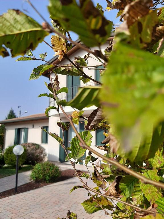 Zahrada ubytování Casa di Clara