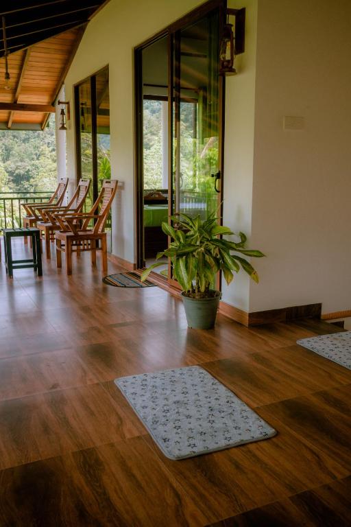 Evergreen Villa - Sinharaja - 19