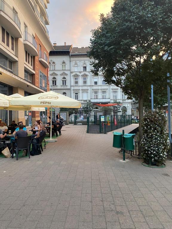 Budapest Oasis one bedroom for renting 1076 Budapest, Garay tér kép - 1