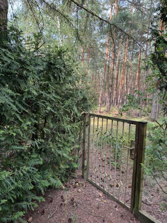 Zahrada ubytování Haus Waldidyll am Briesensee