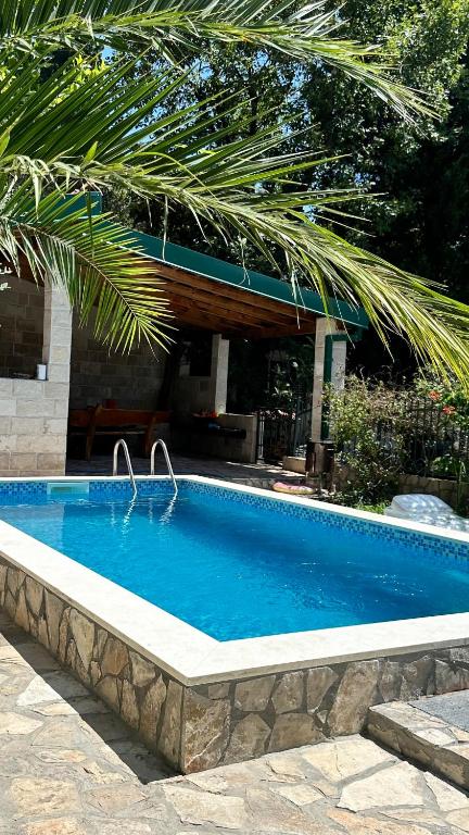 a swimming pool in a yard with a palm tree at GreenHouse in Brca