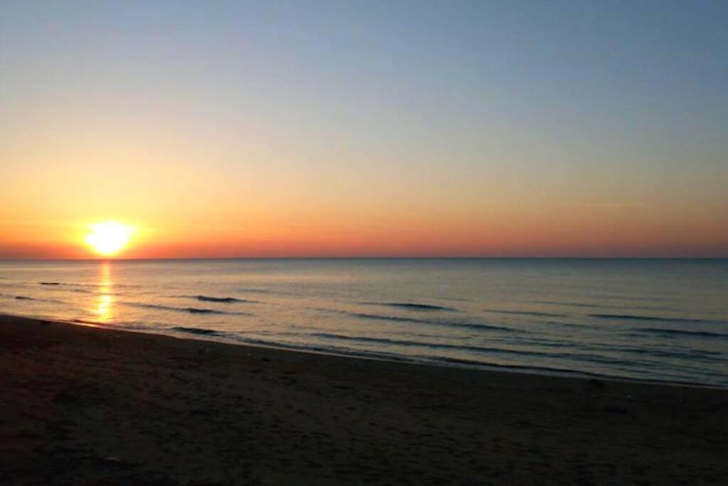 Naturlandskabet i nærheden af lejligheden