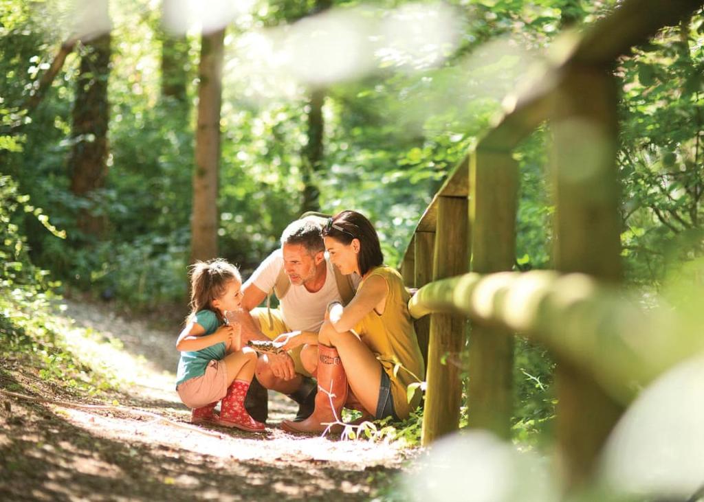 una familia sentada en un puente en el bosque en Castle Brake Holiday Park, en Woodbury