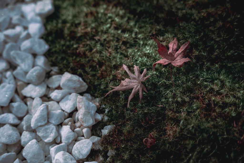 Fotografie z fotogalerie ubytování AMAO VILLA 伊豆高原 v destinaci Futo