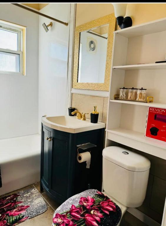 a bathroom with a toilet and a sink and a mirror at Beautiful 3 bed room apartment in Buffalo