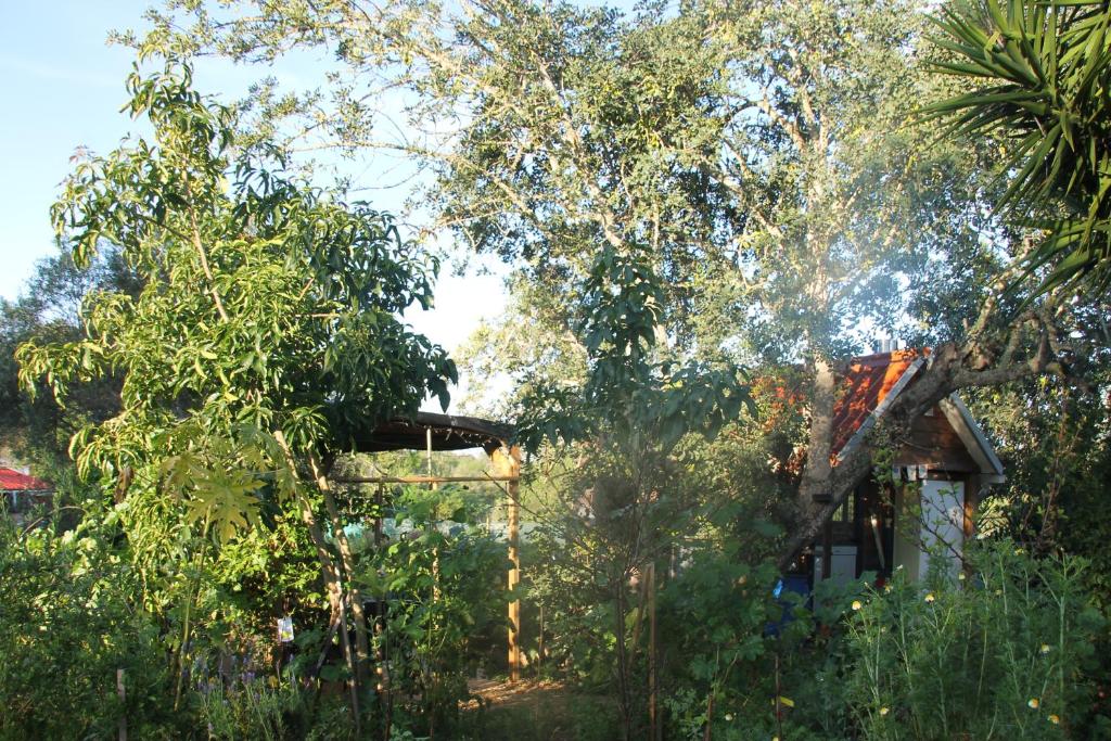Zahrada ubytování Tiny house eco resort