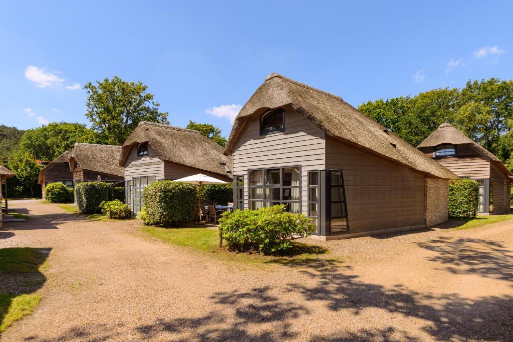 a group of cottages with thatched roofs at Dormio Park Scorleduyn in Schoorl