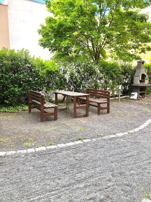Apartment Karli 50 - 一居室公寓