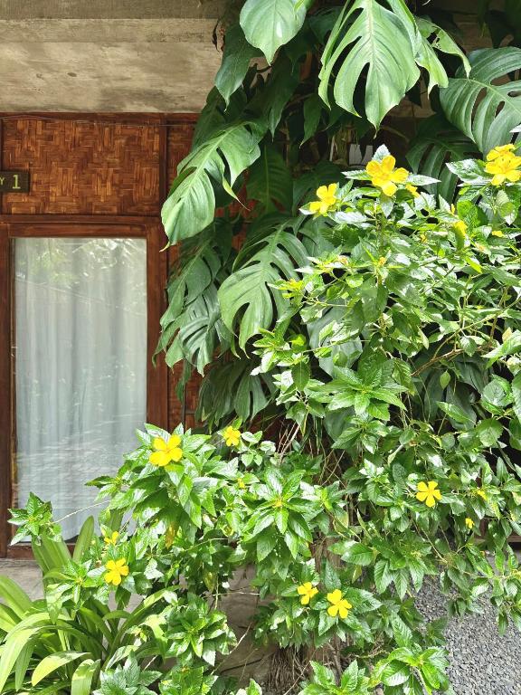 Giardino di Alpas Siargao
