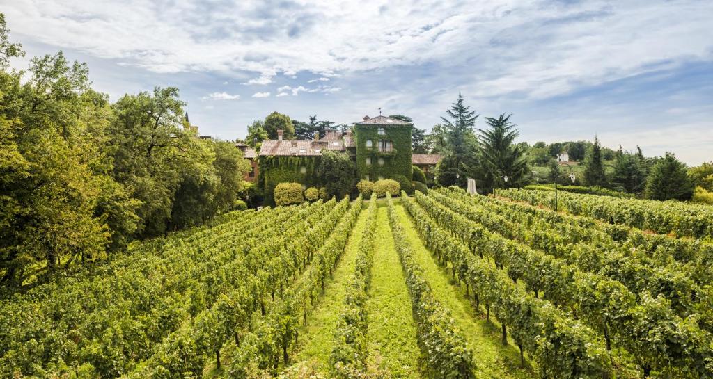 Zahrada ubytování L'Albereta Relais & Chateaux