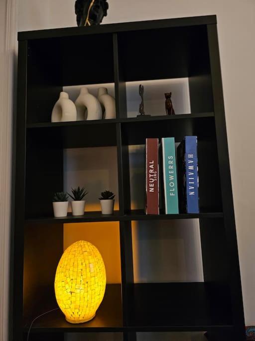 Knihovna v apartmánu
