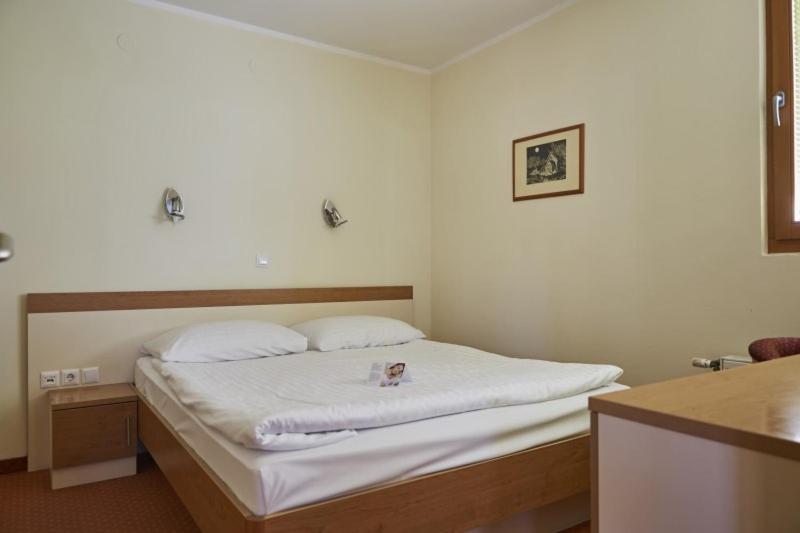 Postel nebo postele na pokoji v ubytování Thermal Apartments Lendava