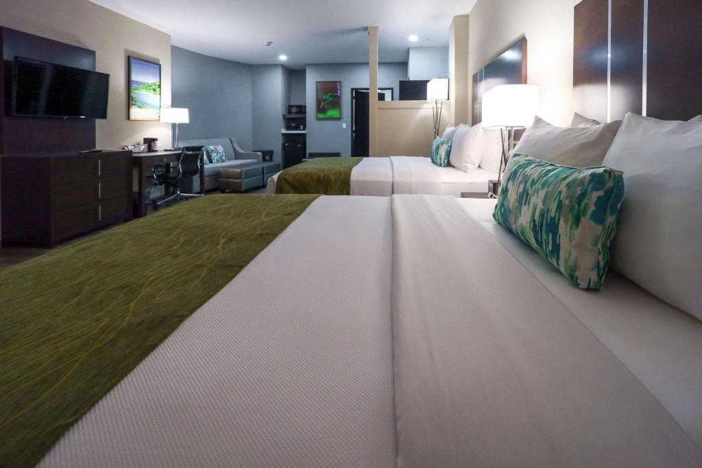 TV a/nebo společenská místnost v ubytování Comfort Inn & Suites Tobago