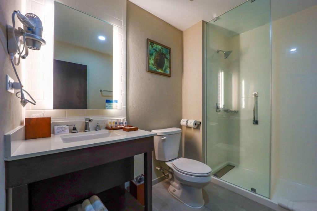 Koupelna v ubytování Comfort Inn & Suites Tobago