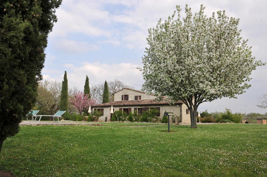Vonkajšia záhrada v ubytovaní Fattoria Agriturismo Nerbona