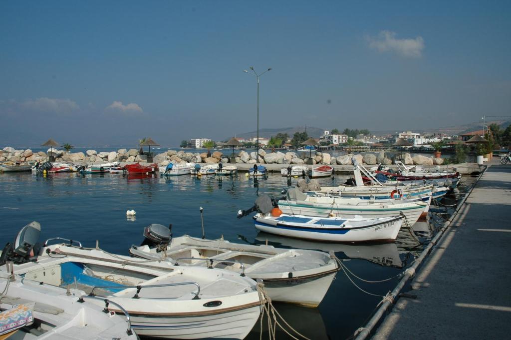 Gallery image of Hotel Ballas in Agria