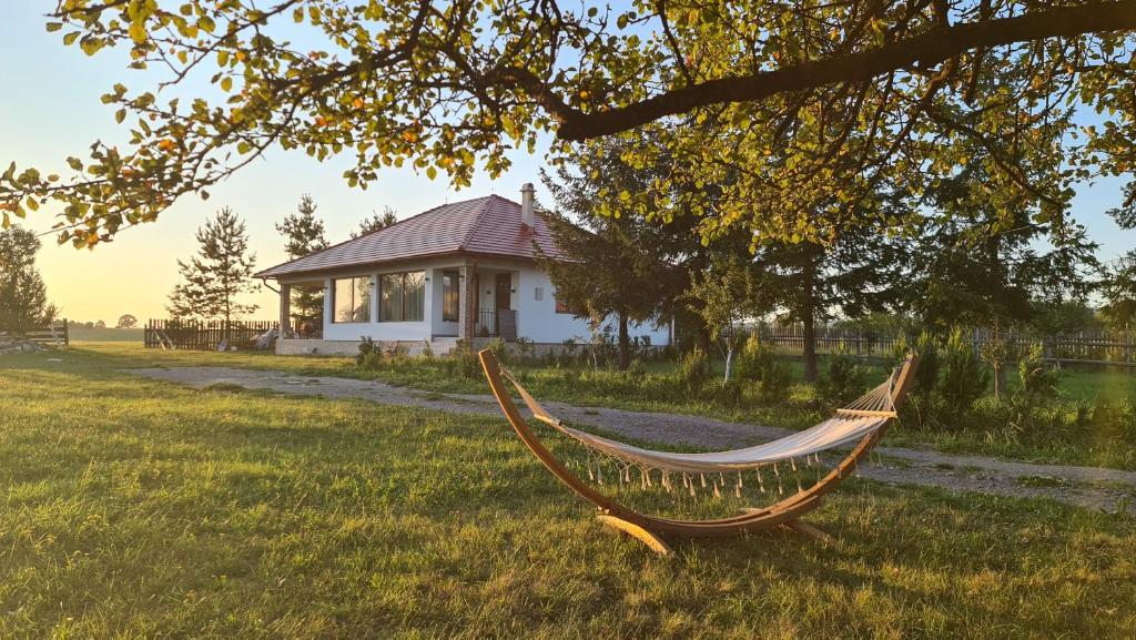 a hammock in the grass in front of a house at Kavicsház in Vlăhiţa