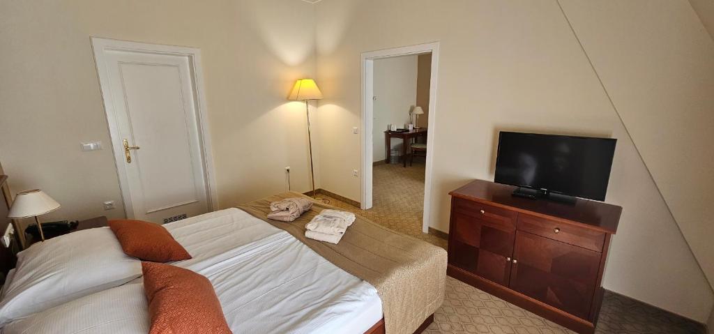 TV o dispositivi per l'intrattenimento presso Grand Hotel Rogaška Premium
