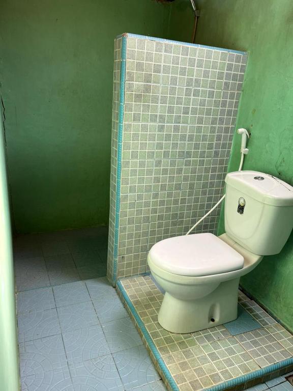 a bathroom with a toilet in a green wall at Eka's Bungalows in Maninjau