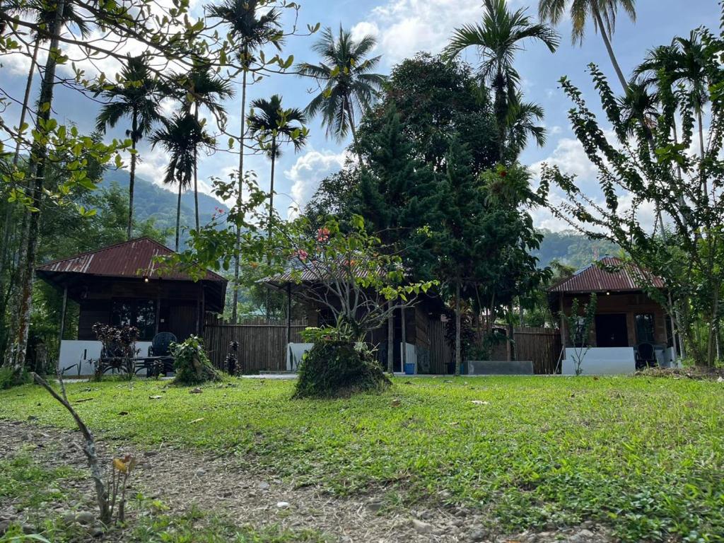 a yard with two houses and palm trees at Eka's Bungalows in Maninjau