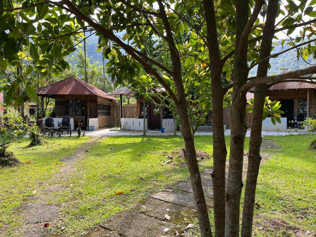 a view of a house with a yard at Eka's Bungalows in Maninjau