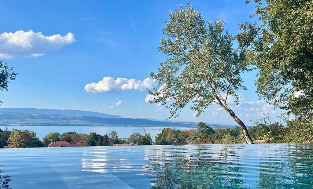 Photo de la galerie de l'établissement Villa de charme à Yvoire, à Yvoire