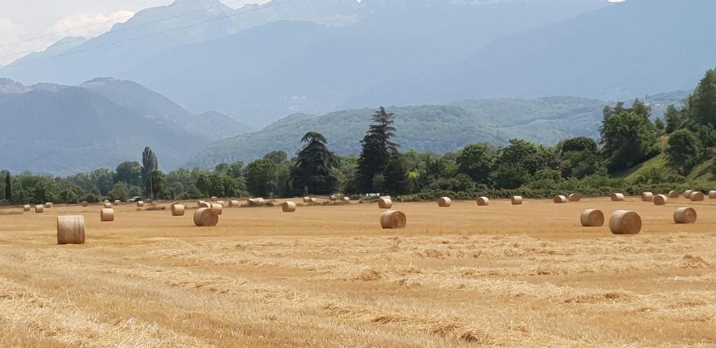 La Santon Chambres d'hôtes - Estudio Con Vistas Al Jardín