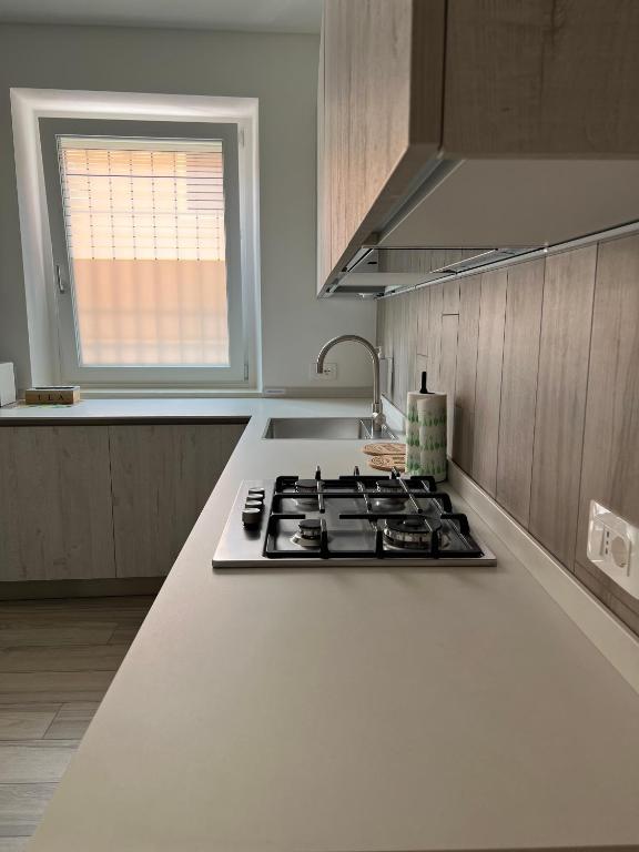 Kuchyň nebo kuchyňský kout v ubytování AP House