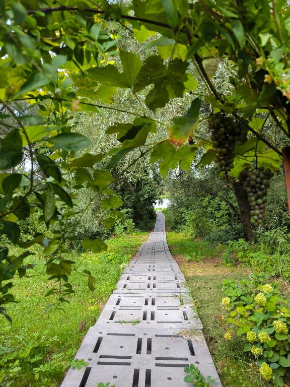 Fotografie z fotogalerie ubytování Pirtelė Rykštelė v destinaci Karmėlava
